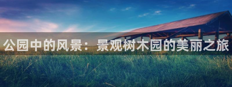 新宝gg主管 9:公园中的风景:景观树木园的美丽之旅