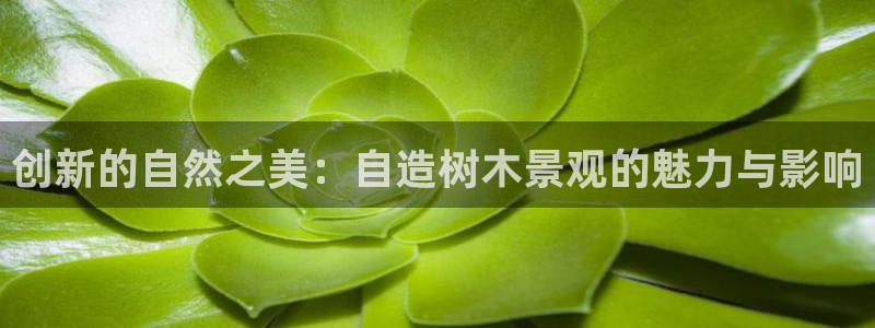 新宝gg是什么:创新的自然之美:自造树木景观的魅力与影响