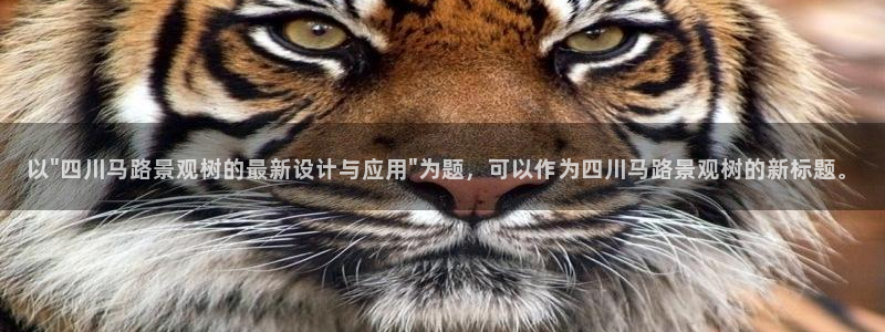 新宝gg网:以\